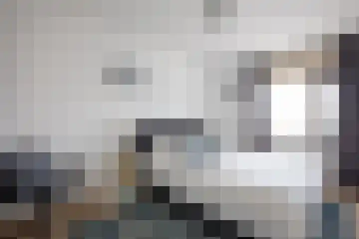 Moleneind 56 Prinsenbeek thumbnail 24