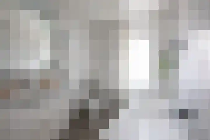 Moleneind 56 Prinsenbeek thumbnail 30