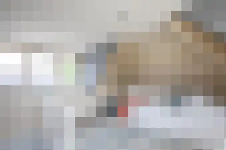 Moleneind 56 Prinsenbeek thumbnail 31