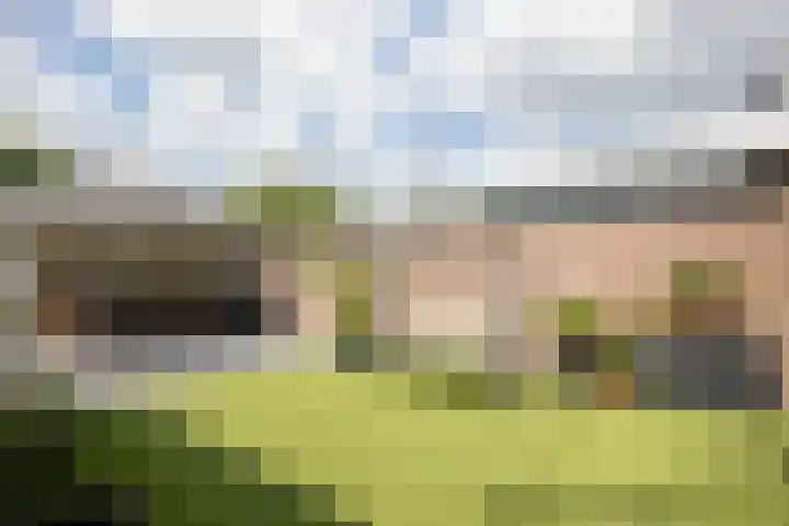 Moleneind 56 Prinsenbeek thumbnail 34