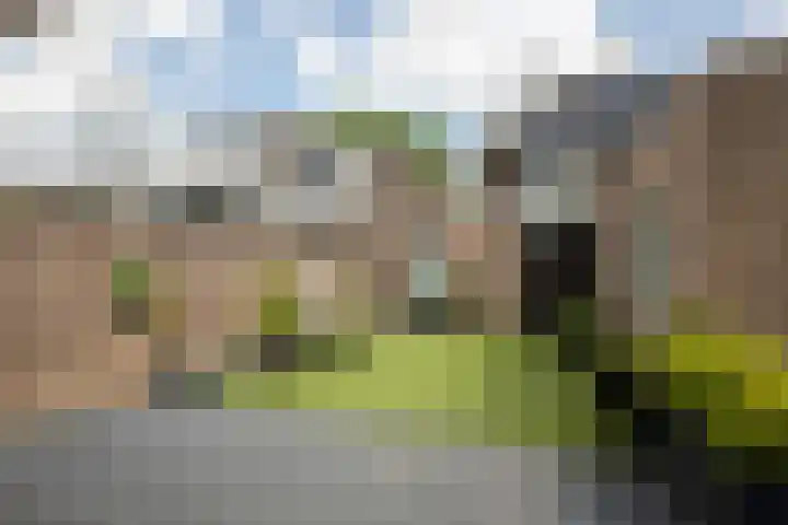 Moleneind 56 Prinsenbeek thumbnail 38