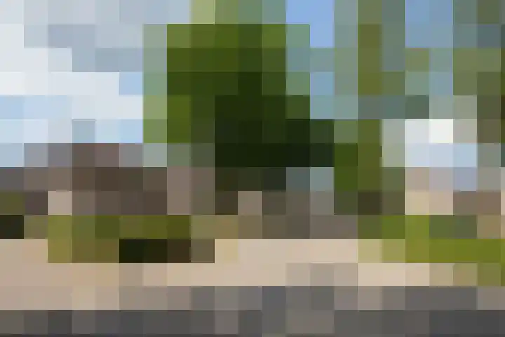 Moleneind 56 Prinsenbeek thumbnail 41