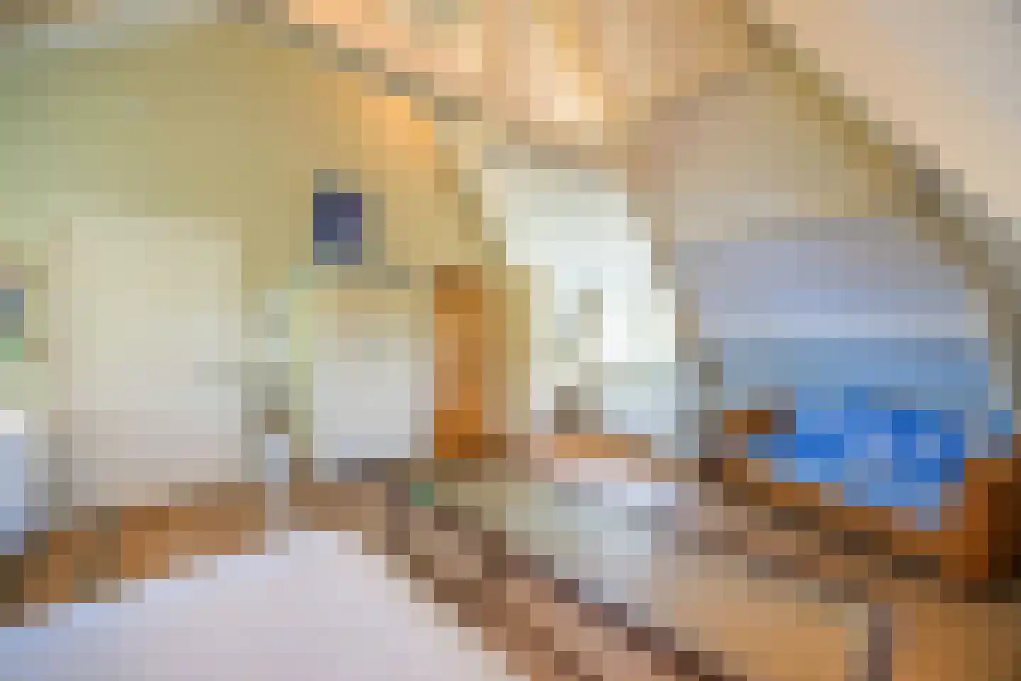 Moleneind 62 Kortenhoef thumbnail 37