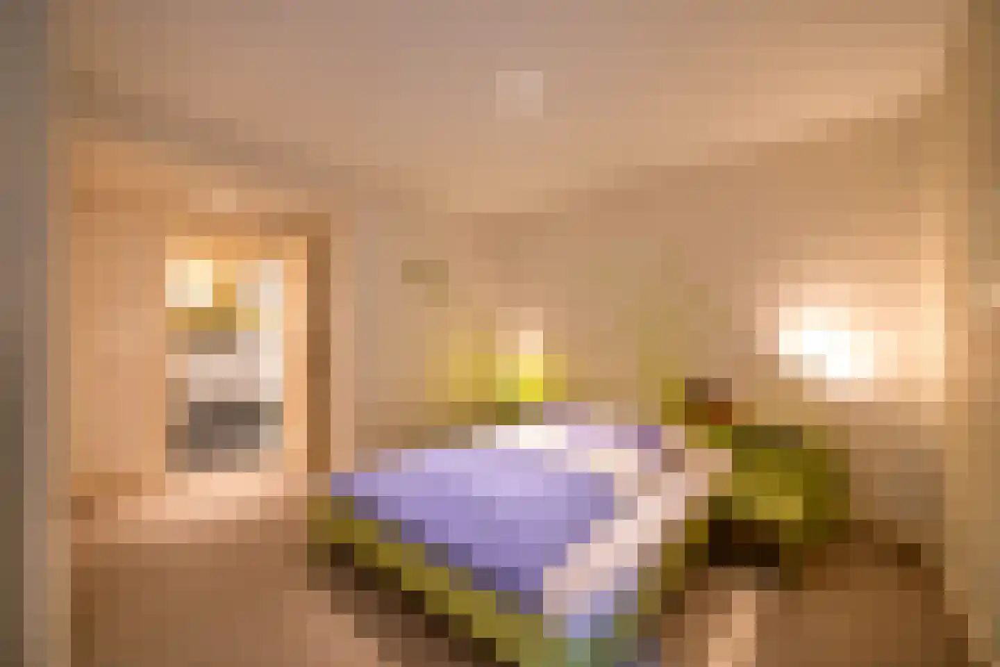 Moleneind 62 Kortenhoef thumbnail 46