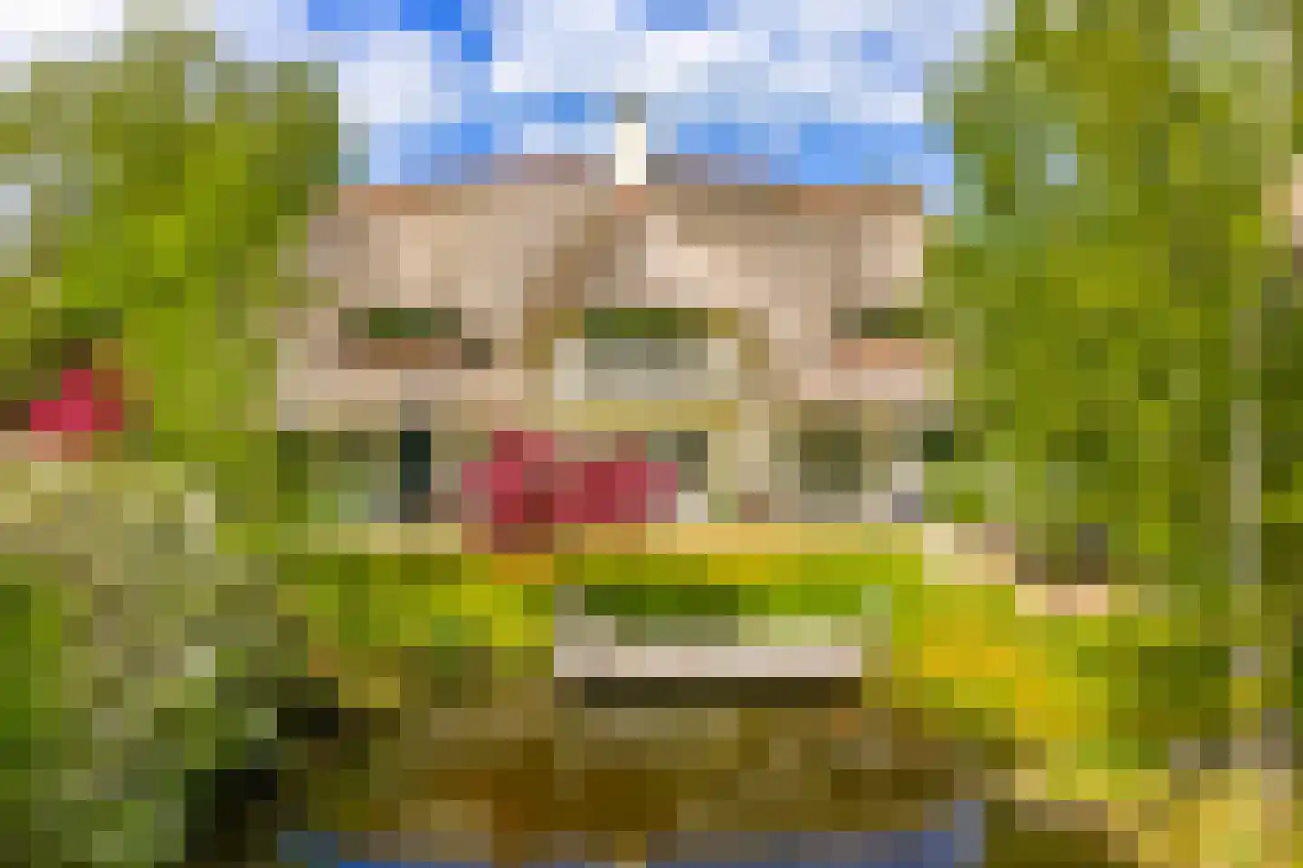 Moleneind 62 Kortenhoef thumbnail 5