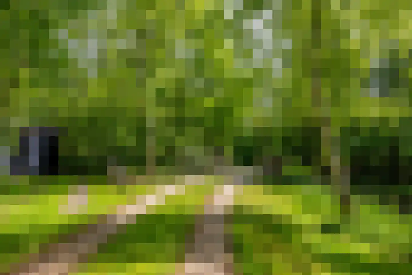 Moleneind 62 Kortenhoef thumbnail 6