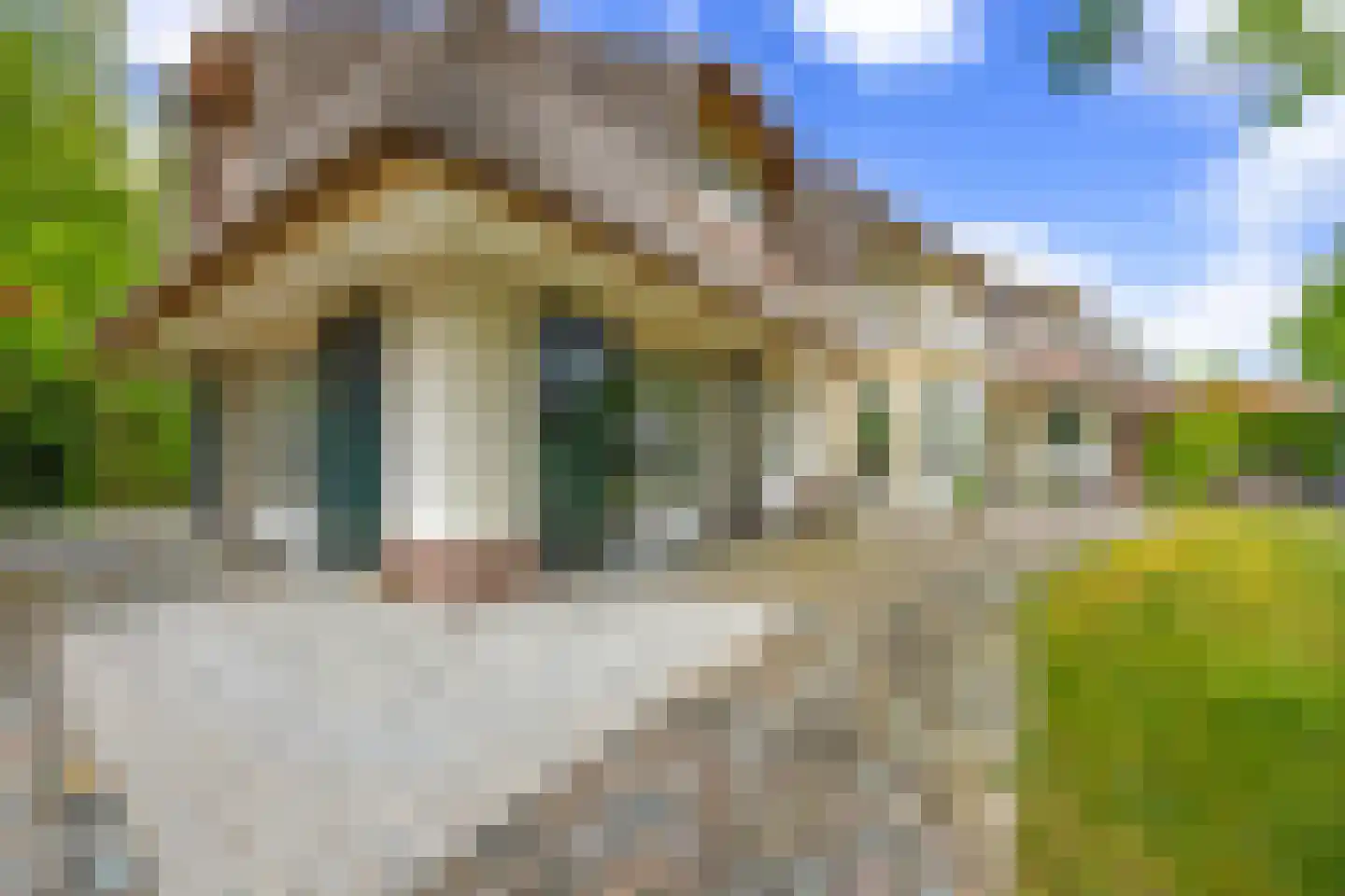 Moleneind 62 Kortenhoef thumbnail 8