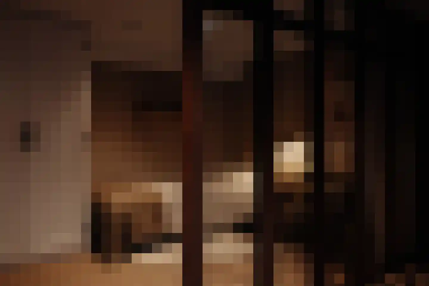 Moleneind 71 ws02 Kortenhoef thumbnail 14