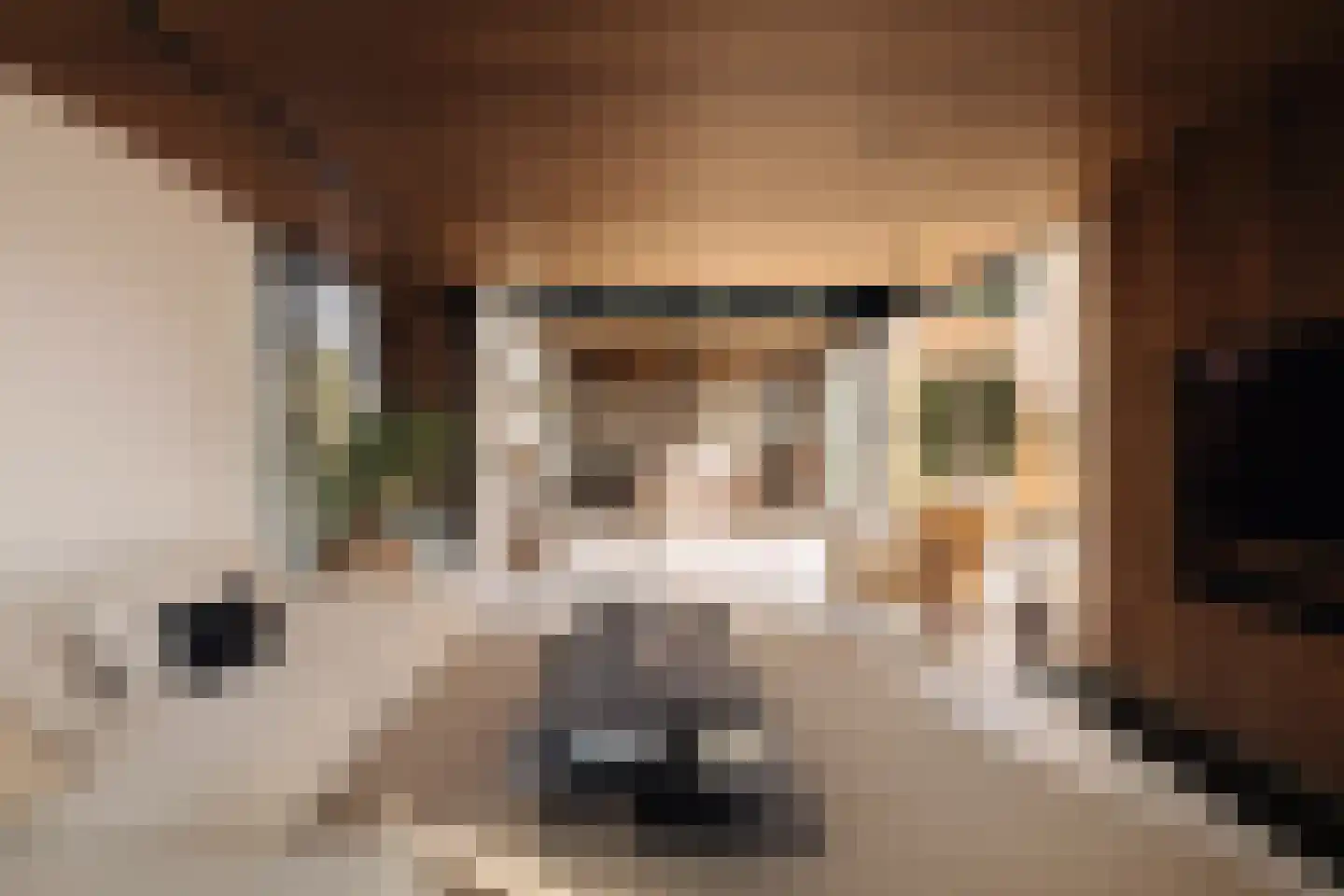 Moleneind 71 ws02 Kortenhoef thumbnail 6
