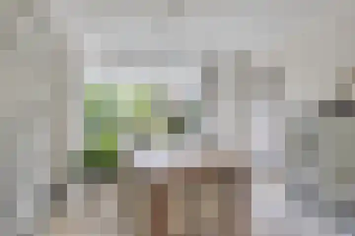 Moleneind 75 Prinsenbeek thumbnail 10