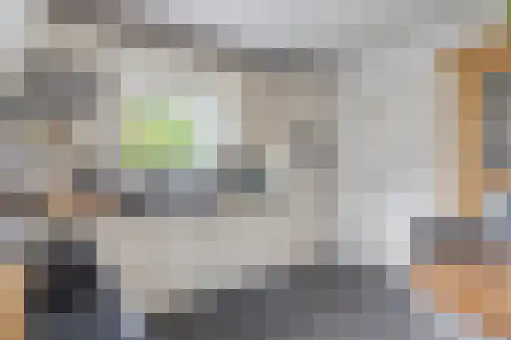 Moleneind 75 Prinsenbeek thumbnail 12