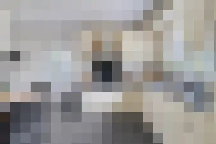 Moleneind 75 Prinsenbeek thumbnail 13