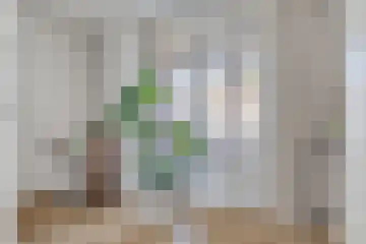 Moleneind 75 Prinsenbeek thumbnail 18
