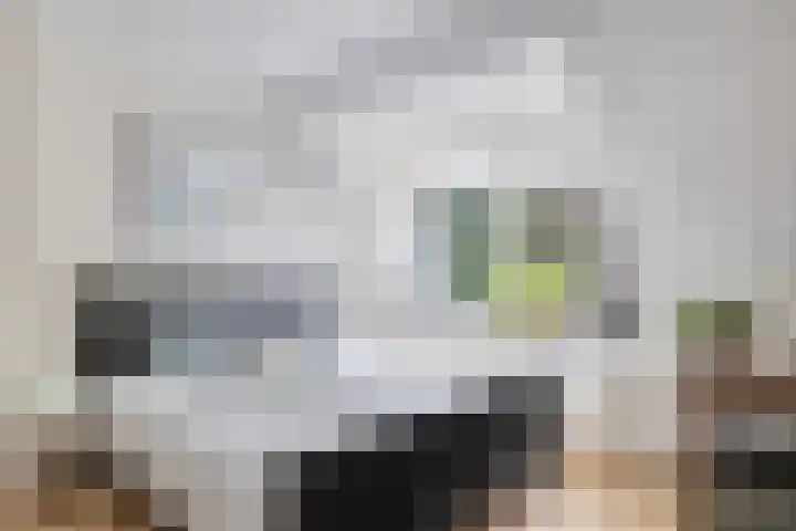 Moleneind 75 Prinsenbeek thumbnail 25