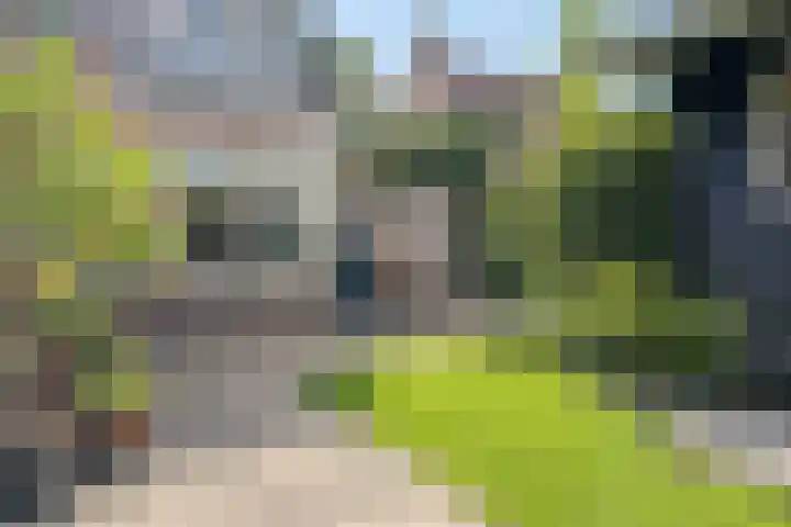 Moleneind 75 Prinsenbeek thumbnail 28