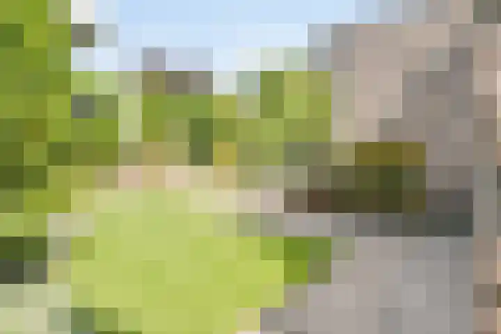 Moleneind 75 Prinsenbeek thumbnail 29