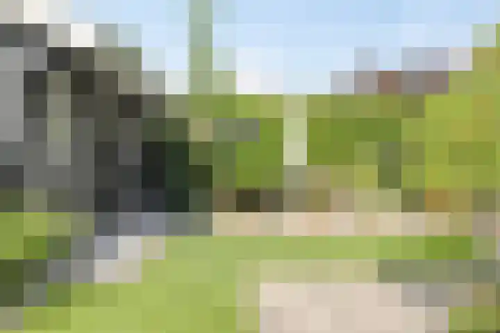 Moleneind 75 Prinsenbeek thumbnail 30