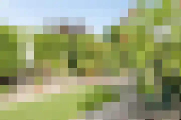 Moleneind 75 Prinsenbeek thumbnail 31
