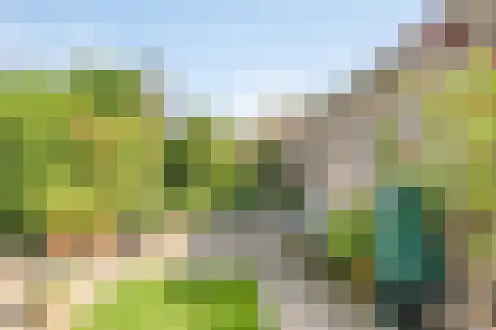 Moleneind 75 Prinsenbeek thumbnail 32
