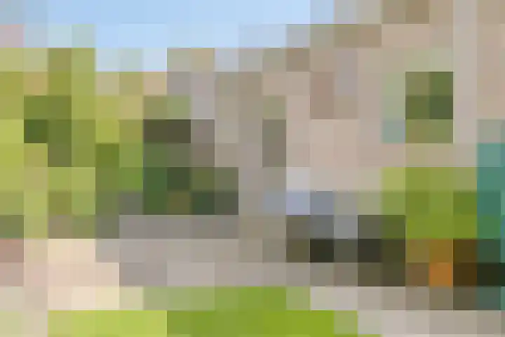 Moleneind 75 Prinsenbeek thumbnail 33