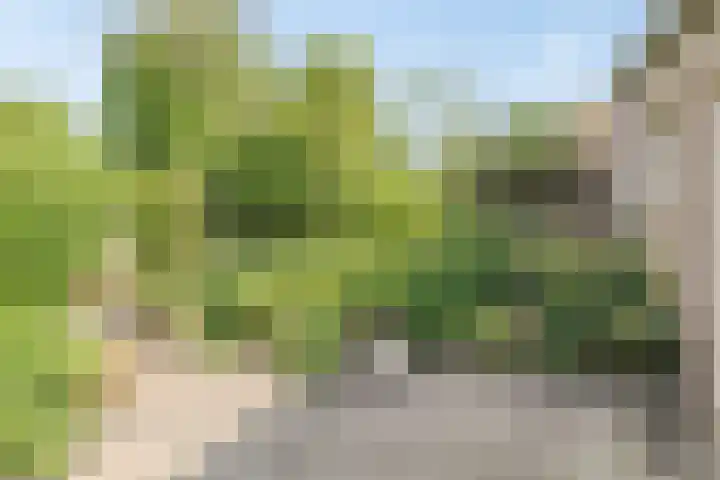 Moleneind 75 Prinsenbeek thumbnail 34