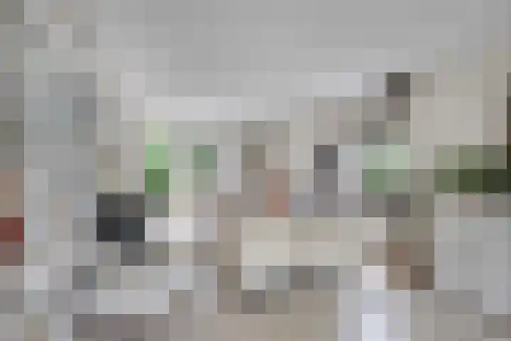 Moleneind 75 Prinsenbeek thumbnail 6