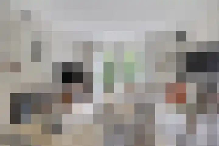 Moleneind 75 Prinsenbeek thumbnail 8