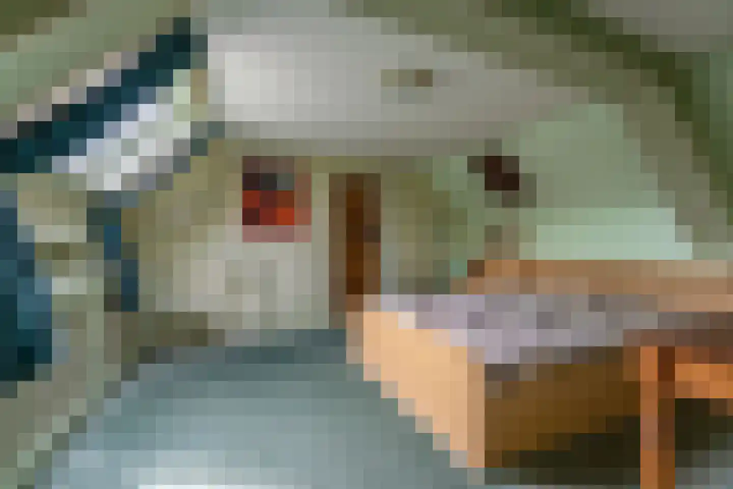 Moleneind 8 Rijnsburg thumbnail 15