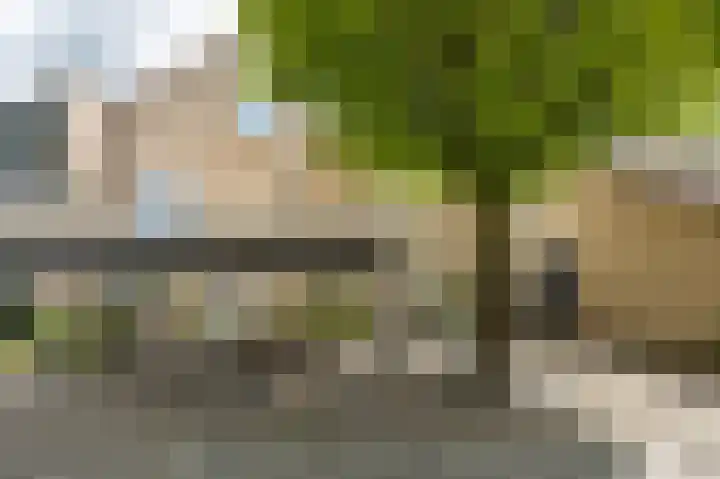Moleneind NZ 10 Drachten thumbnail 20