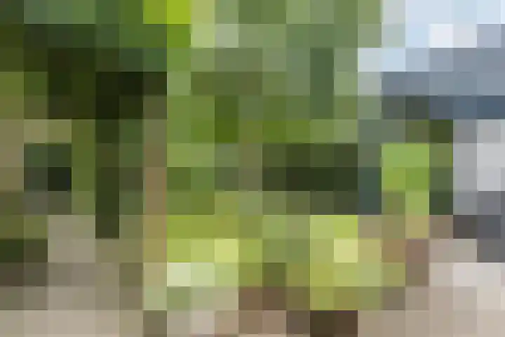Moleneind NZ 10 Drachten thumbnail 5