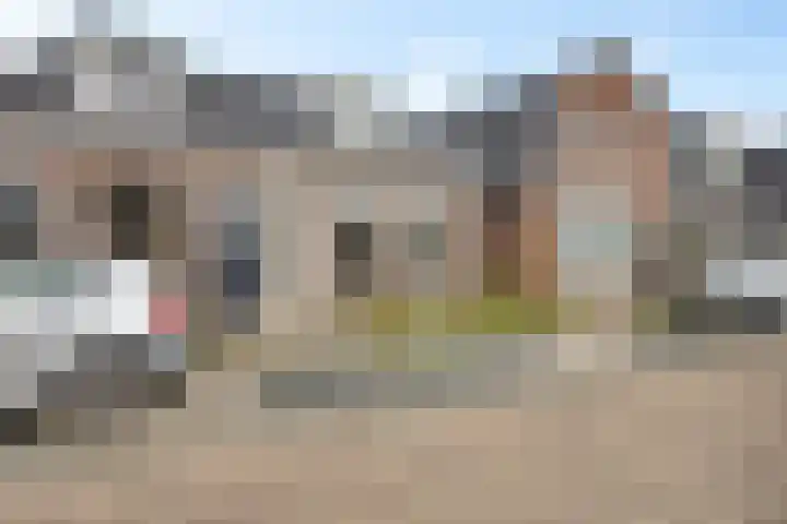 Moleneind NZ 108 Drachten thumbnail 6