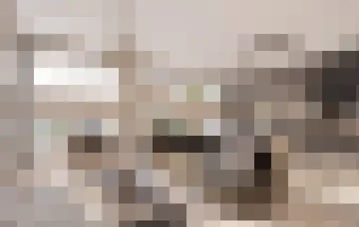 Moleneind NZ 4 Drachten foto 2