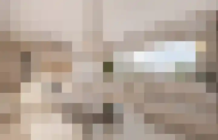 Moleneind NZ 6 Drachten thumbnail 8