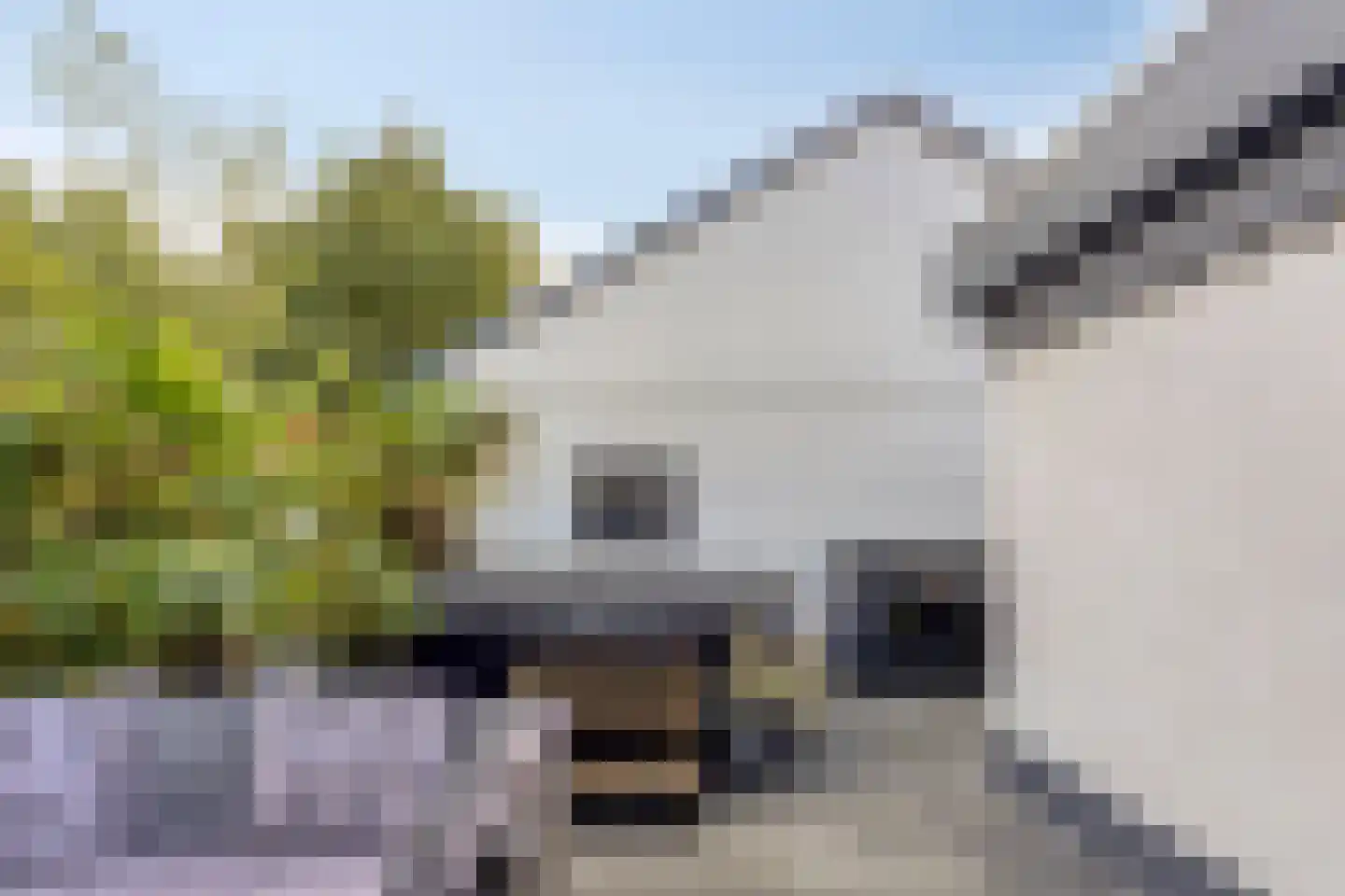 Moleneind ZZ 165 Drachten thumbnail 34
