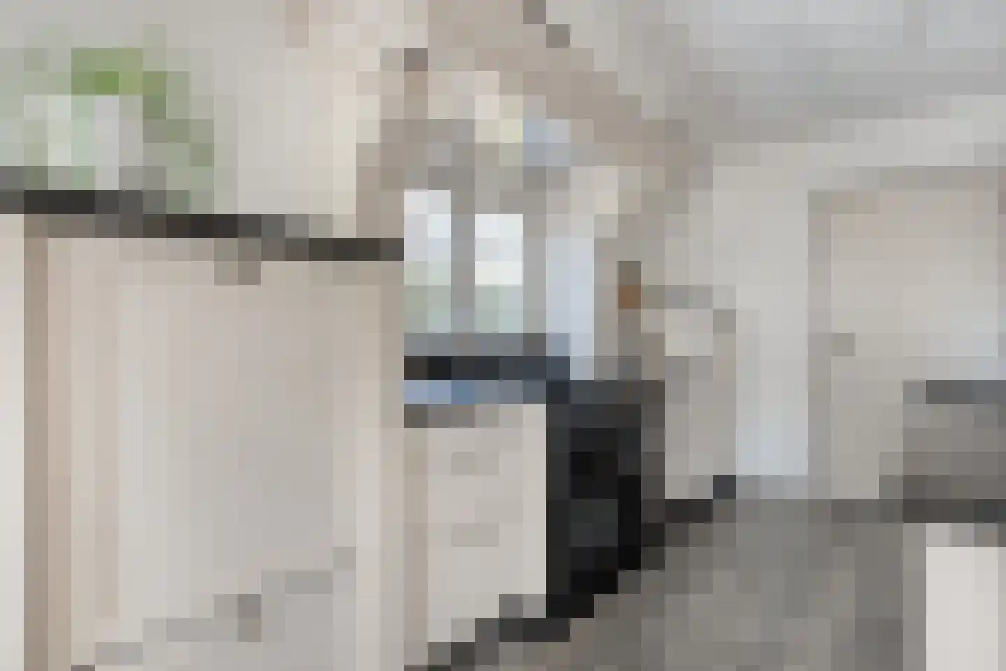 Moleneinde 19 Dwingeloo thumbnail 13