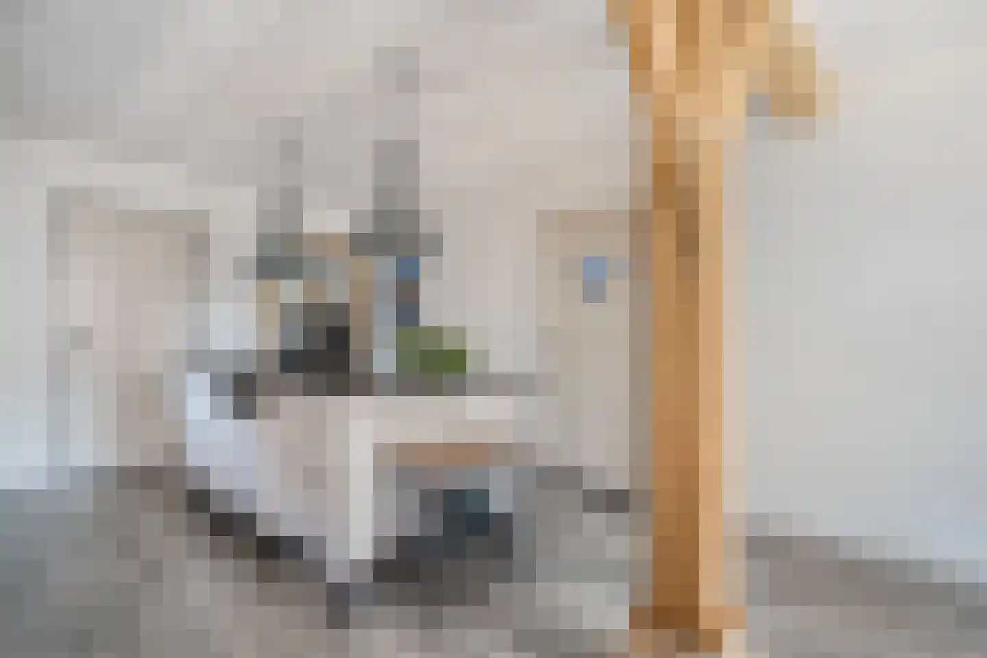 Moleneinde 19 Dwingeloo thumbnail 14