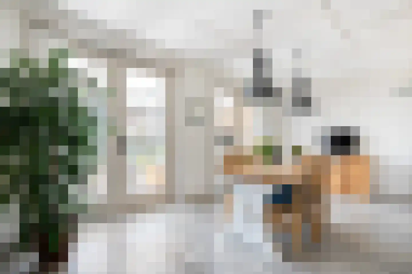 Moleneinde 19 Dwingeloo thumbnail 16