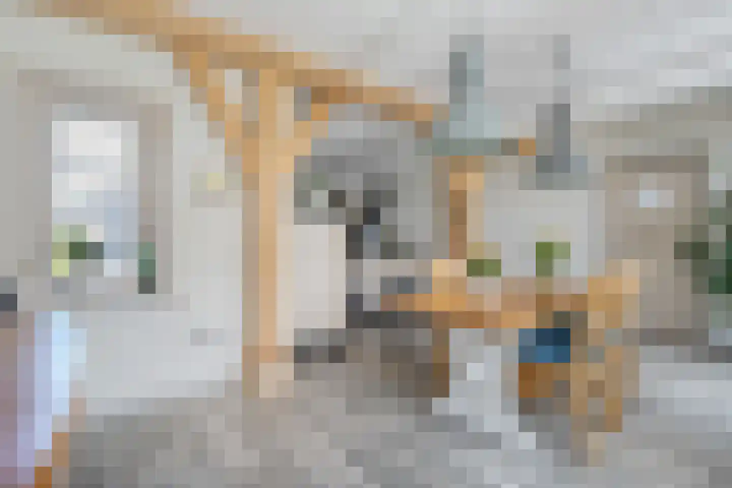 Moleneinde 19 Dwingeloo thumbnail 17