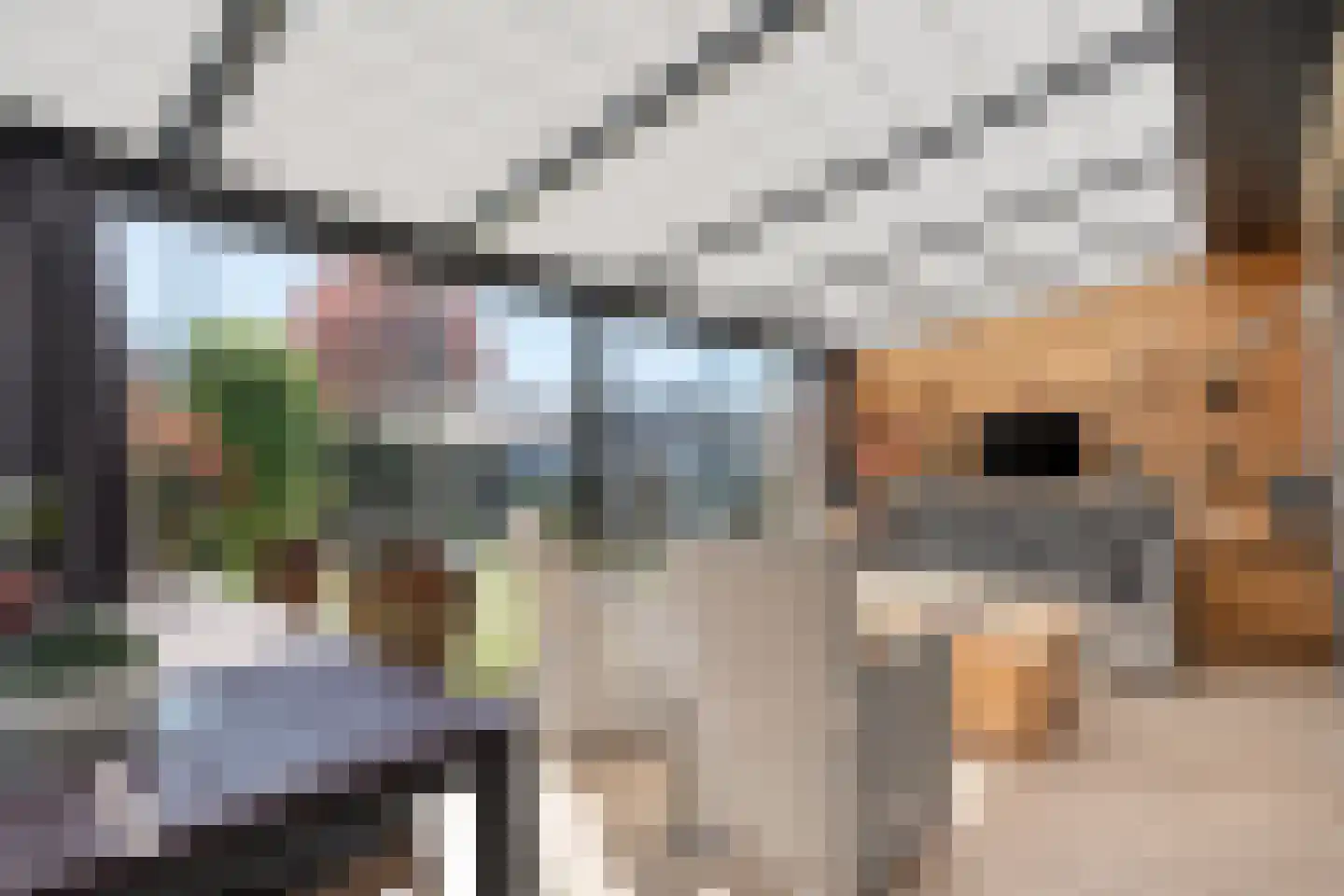 Moleneinde 19 Dwingeloo thumbnail 18