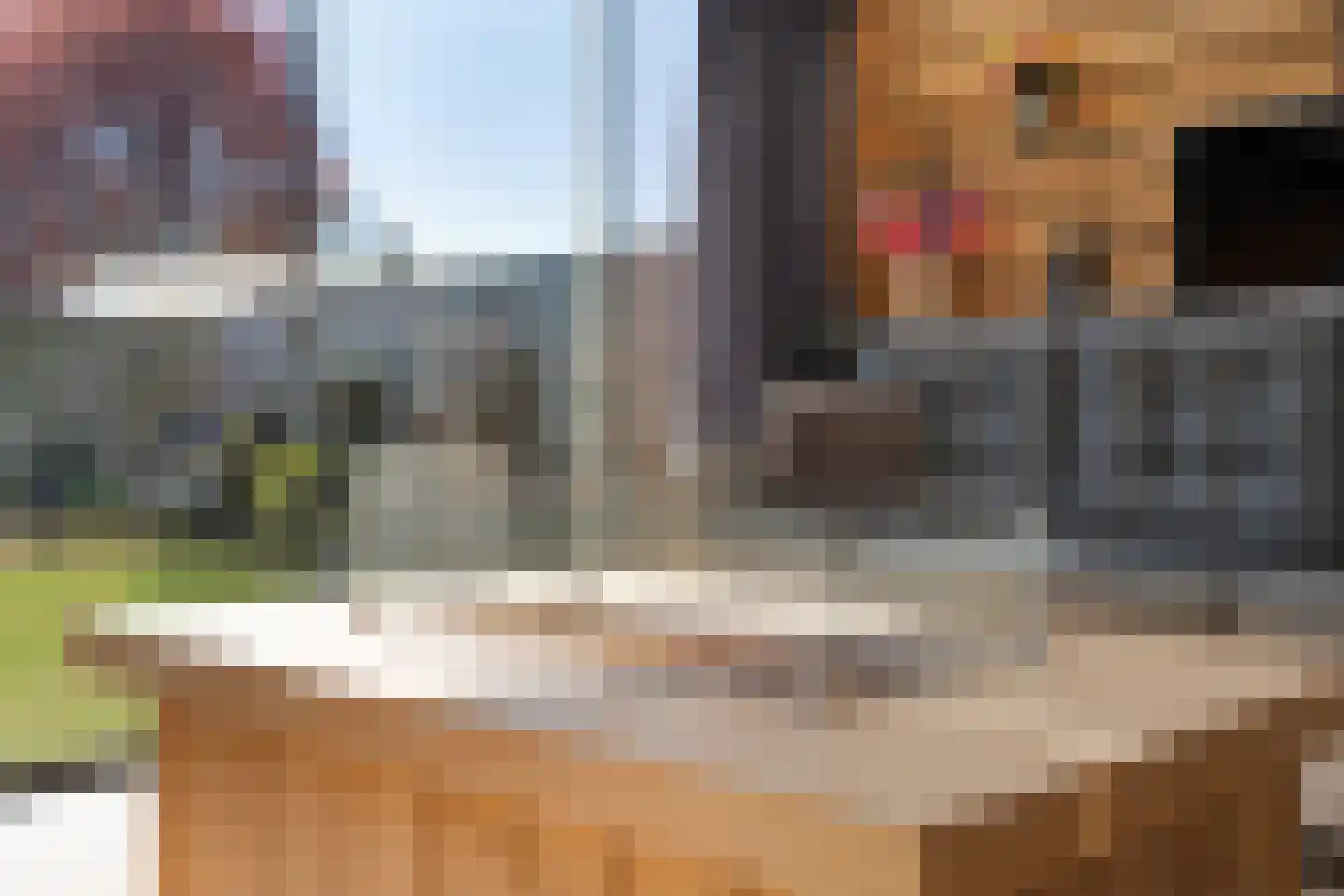 Moleneinde 19 Dwingeloo thumbnail 20