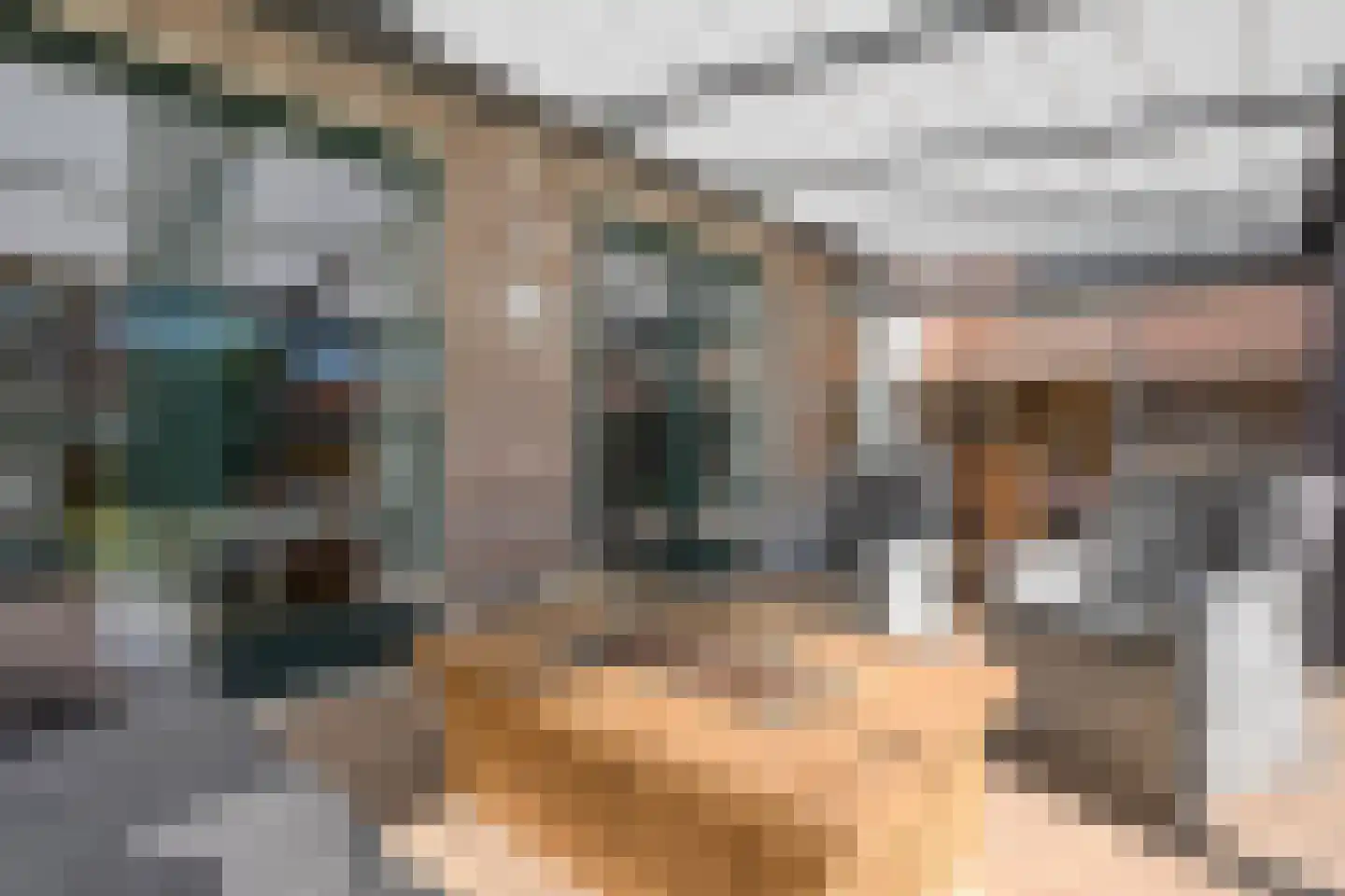 Moleneinde 19 Dwingeloo thumbnail 21