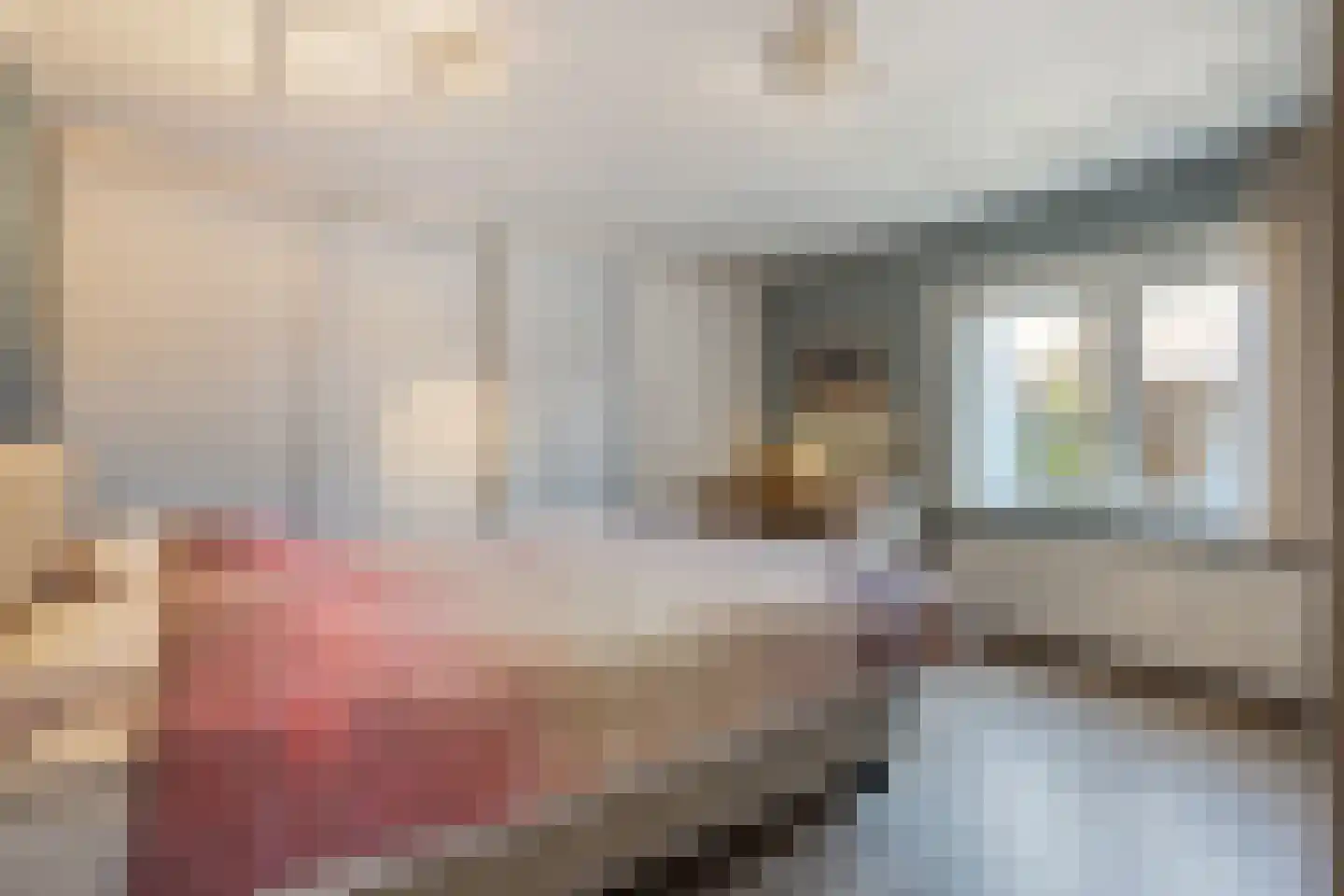 Moleneinde 19 Dwingeloo thumbnail 22