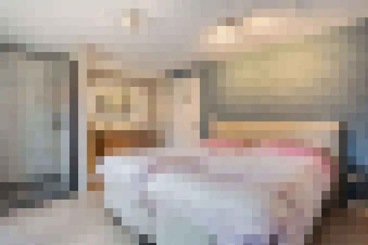 Moleneinde 19 Dwingeloo thumbnail 23