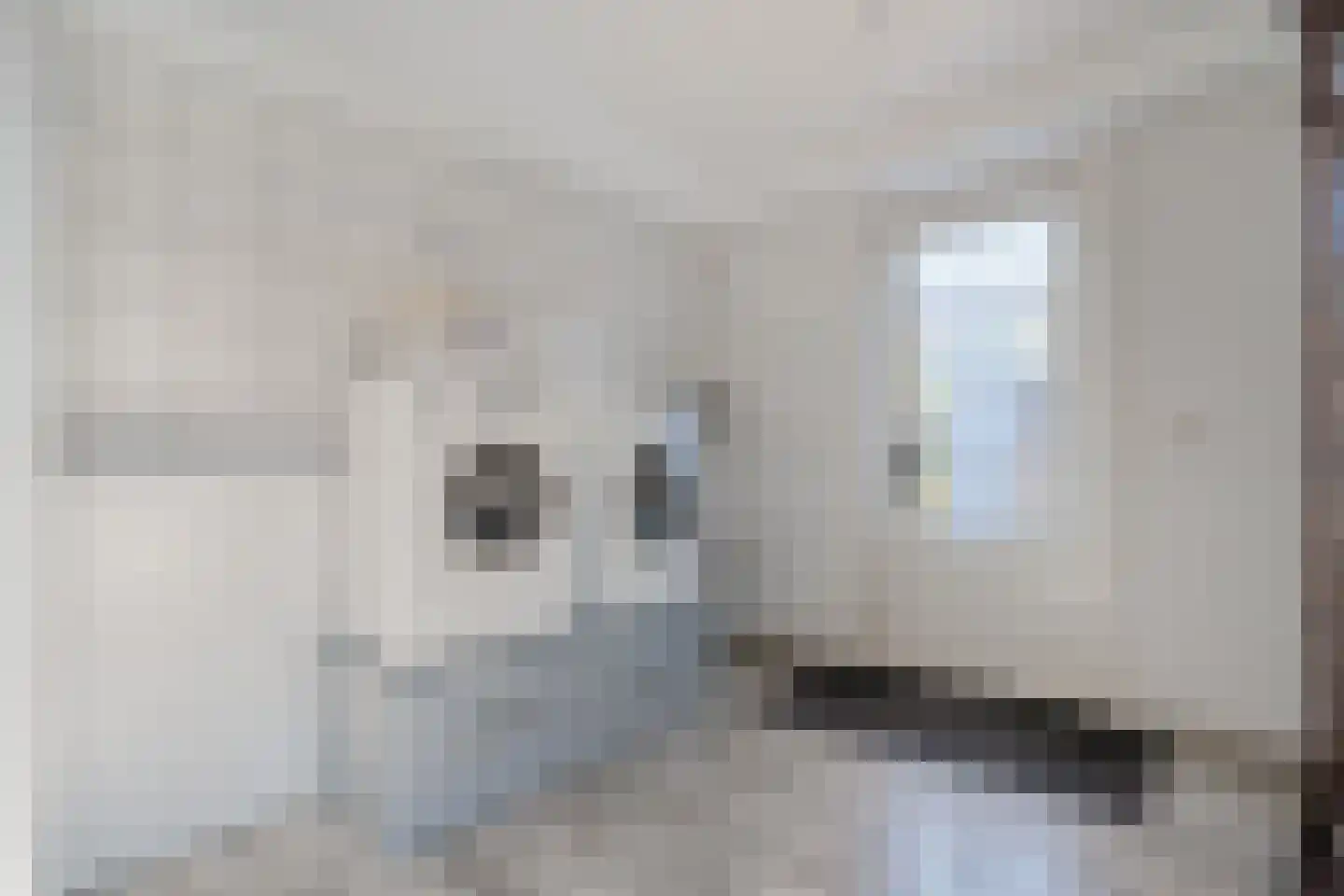 Moleneinde 19 Dwingeloo thumbnail 25
