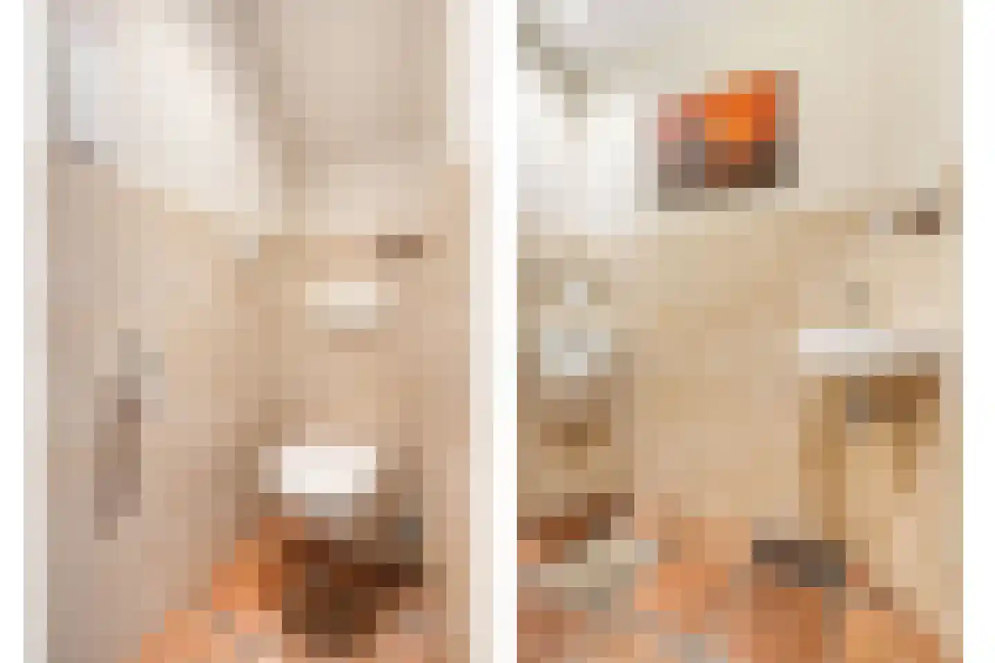Moleneinde 19 Dwingeloo thumbnail 28