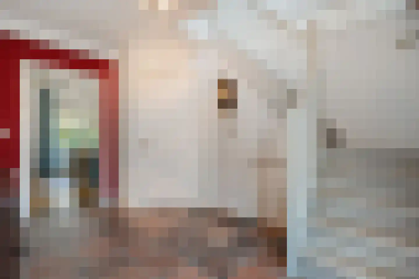 Moleneinde 19 Dwingeloo thumbnail 29