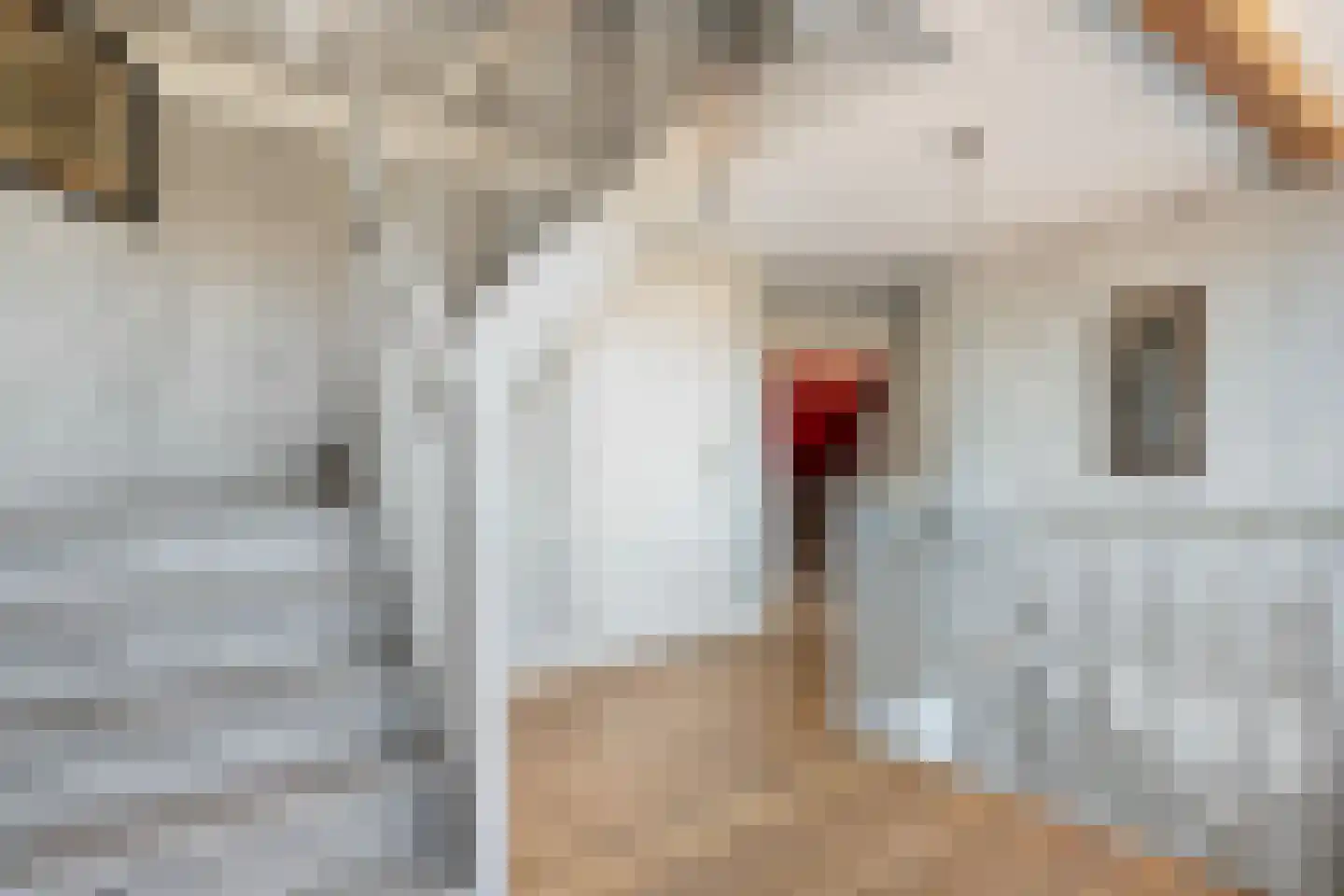 Moleneinde 19 Dwingeloo thumbnail 30