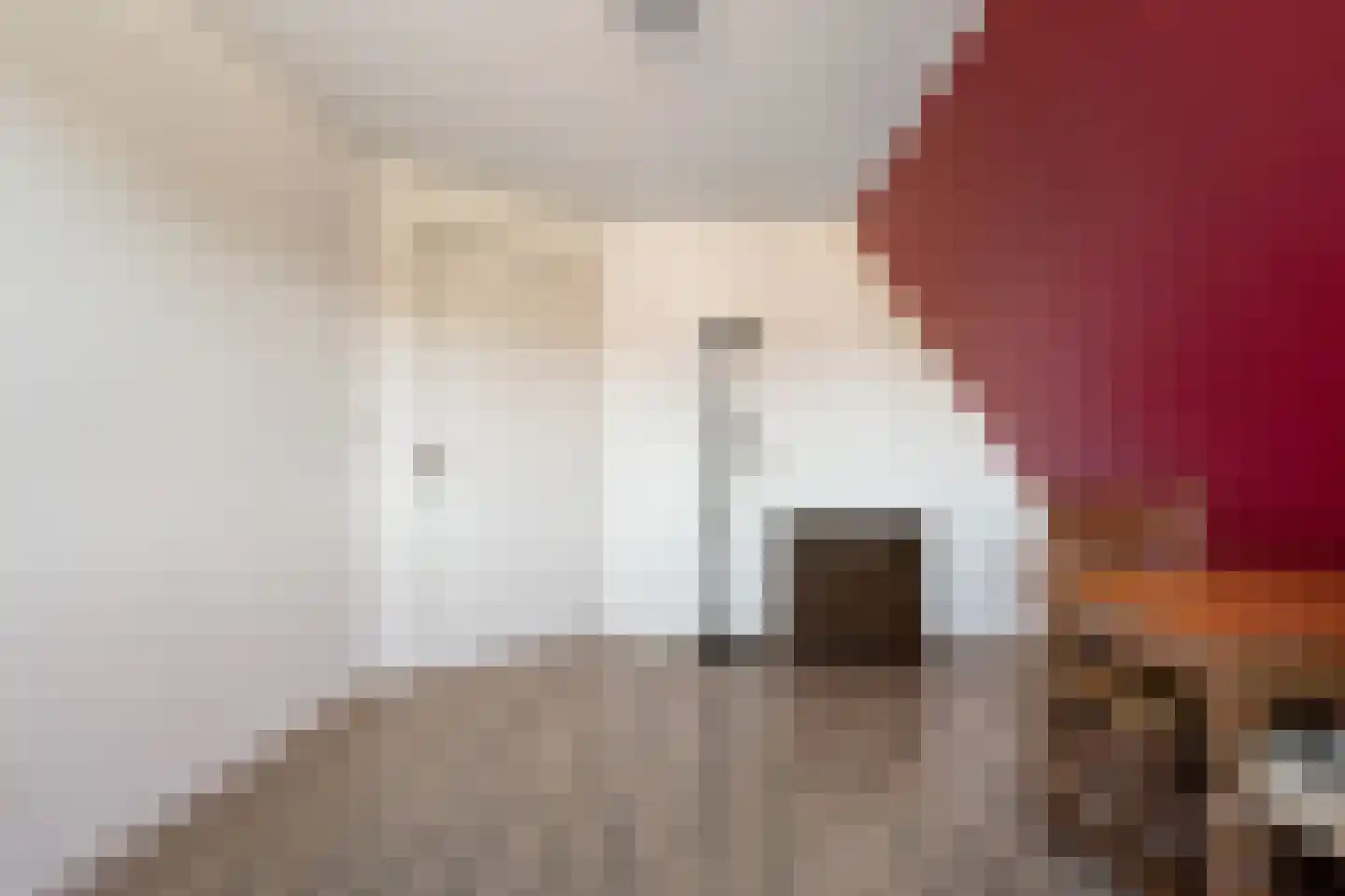 Moleneinde 19 Dwingeloo thumbnail 33