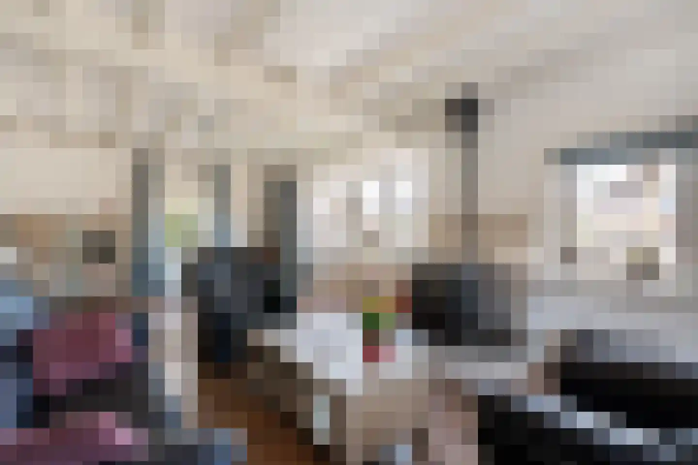 Moleneinde 19 Dwingeloo thumbnail 4