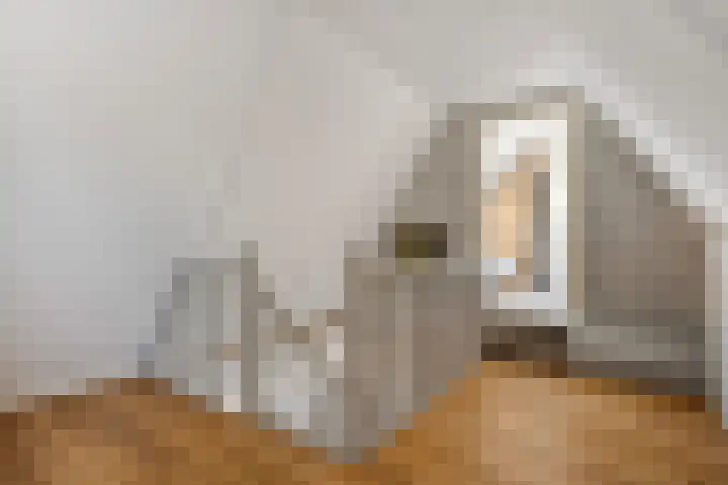 Moleneinde 19 Dwingeloo thumbnail 43